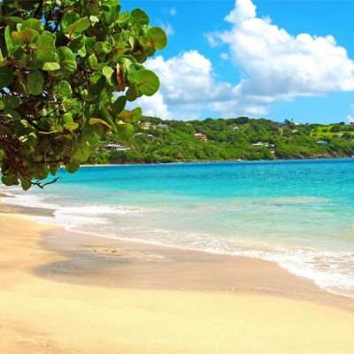 麻将胡了pg网站