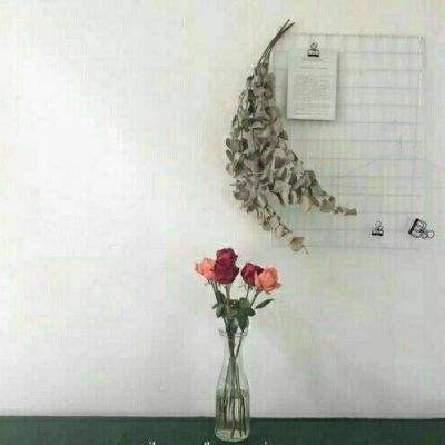 加拿大pc软件平台下载手机版