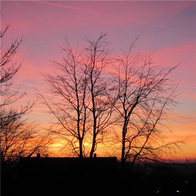 澳门太阳游戏城app