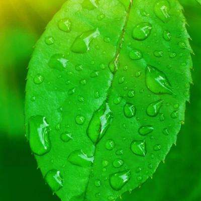 8868体育app下载手机版